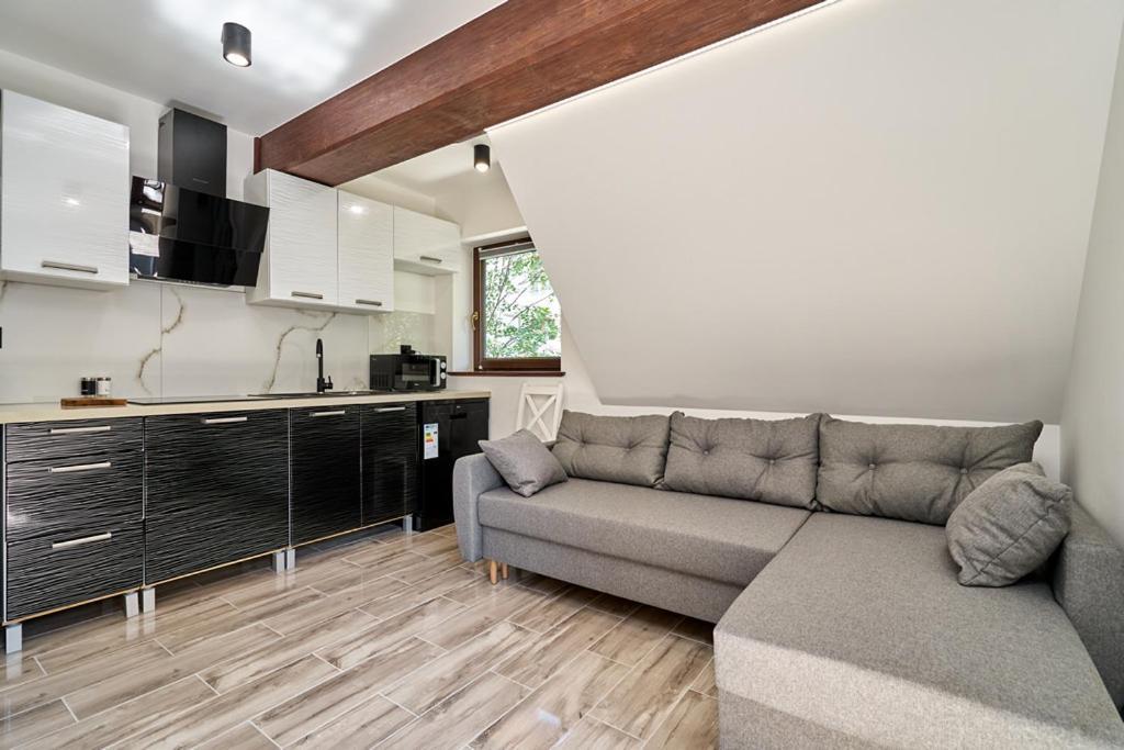 Apartamenty U Kamila Zakopane Dış mekan fotoğraf